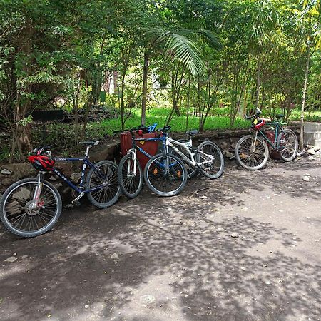 Shamba Hostel Usa River エクステリア 写真
