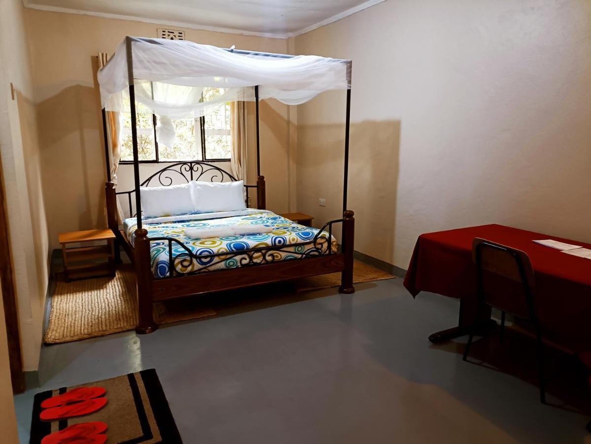 Shamba Hostel Usa River エクステリア 写真