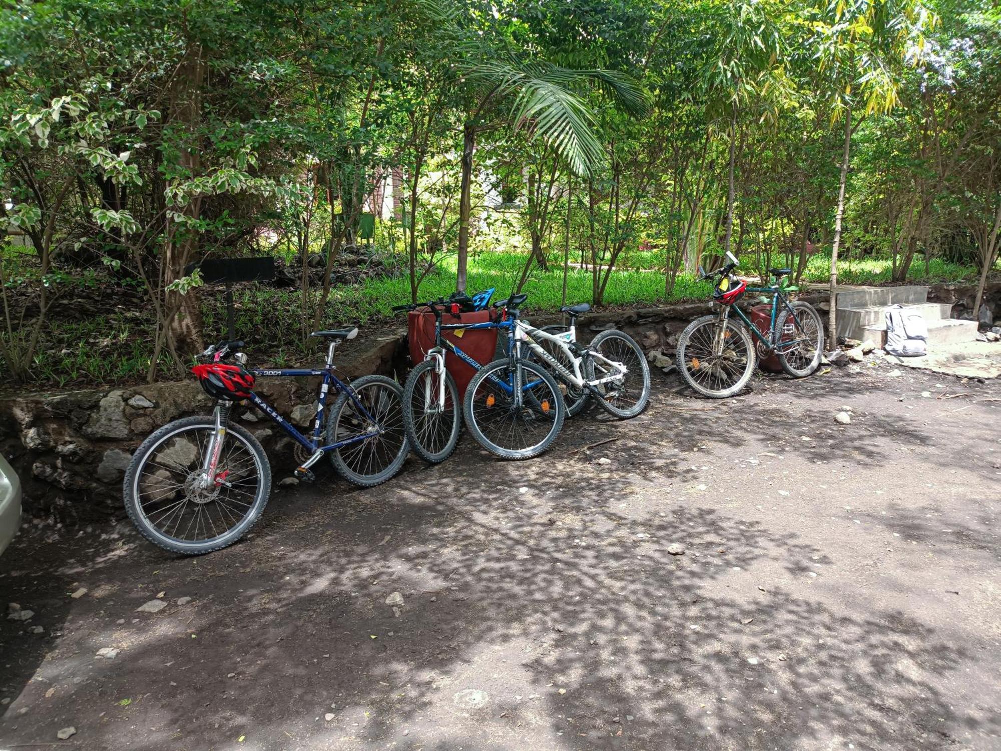 Shamba Hostel Usa River エクステリア 写真