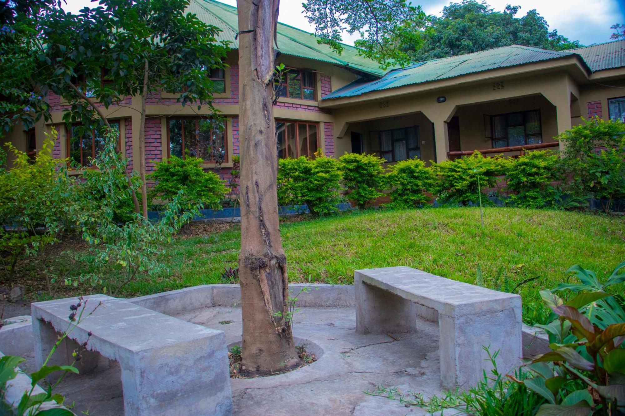 Shamba Hostel Usa River エクステリア 写真