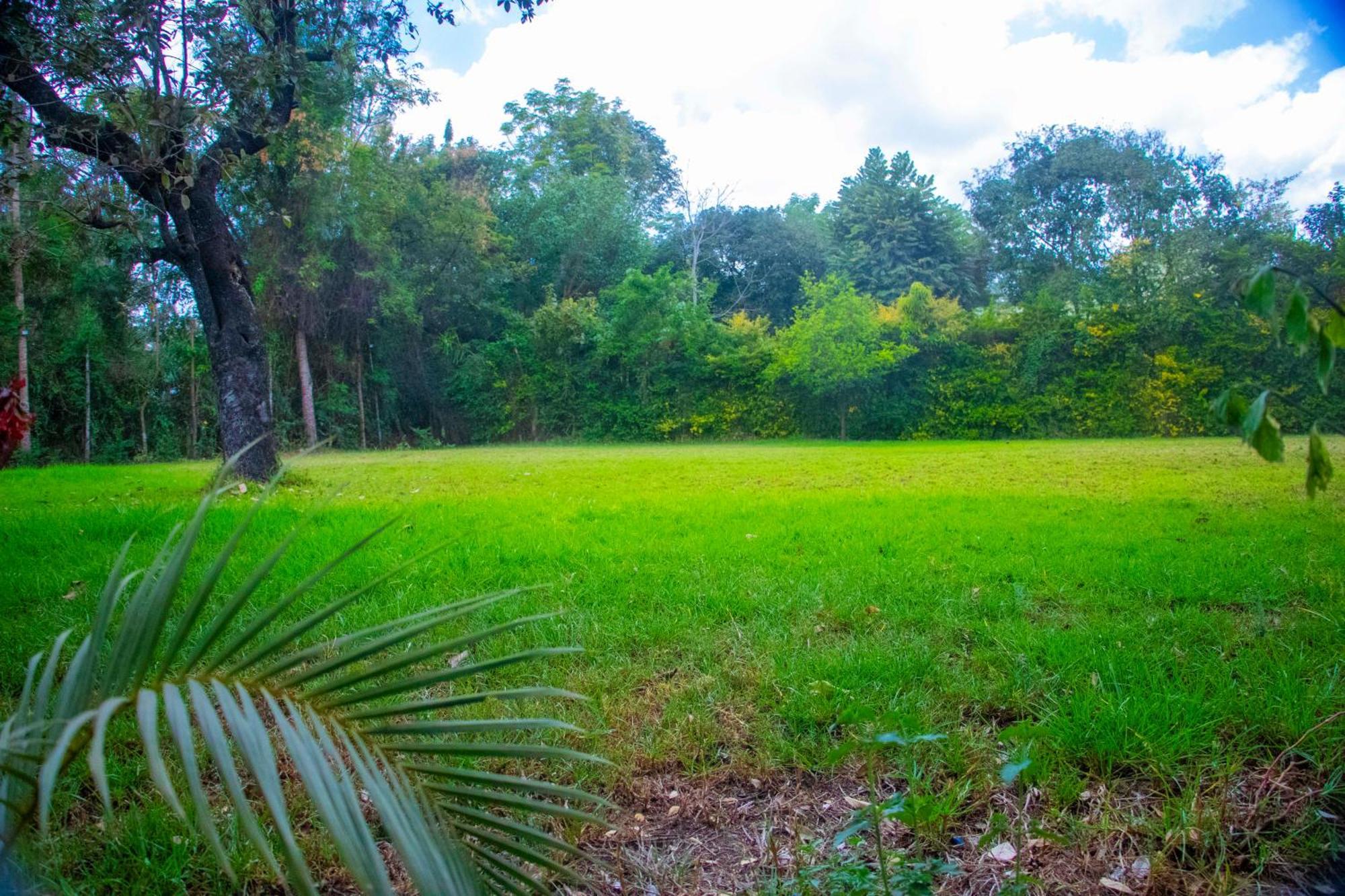 Shamba Hostel Usa River エクステリア 写真