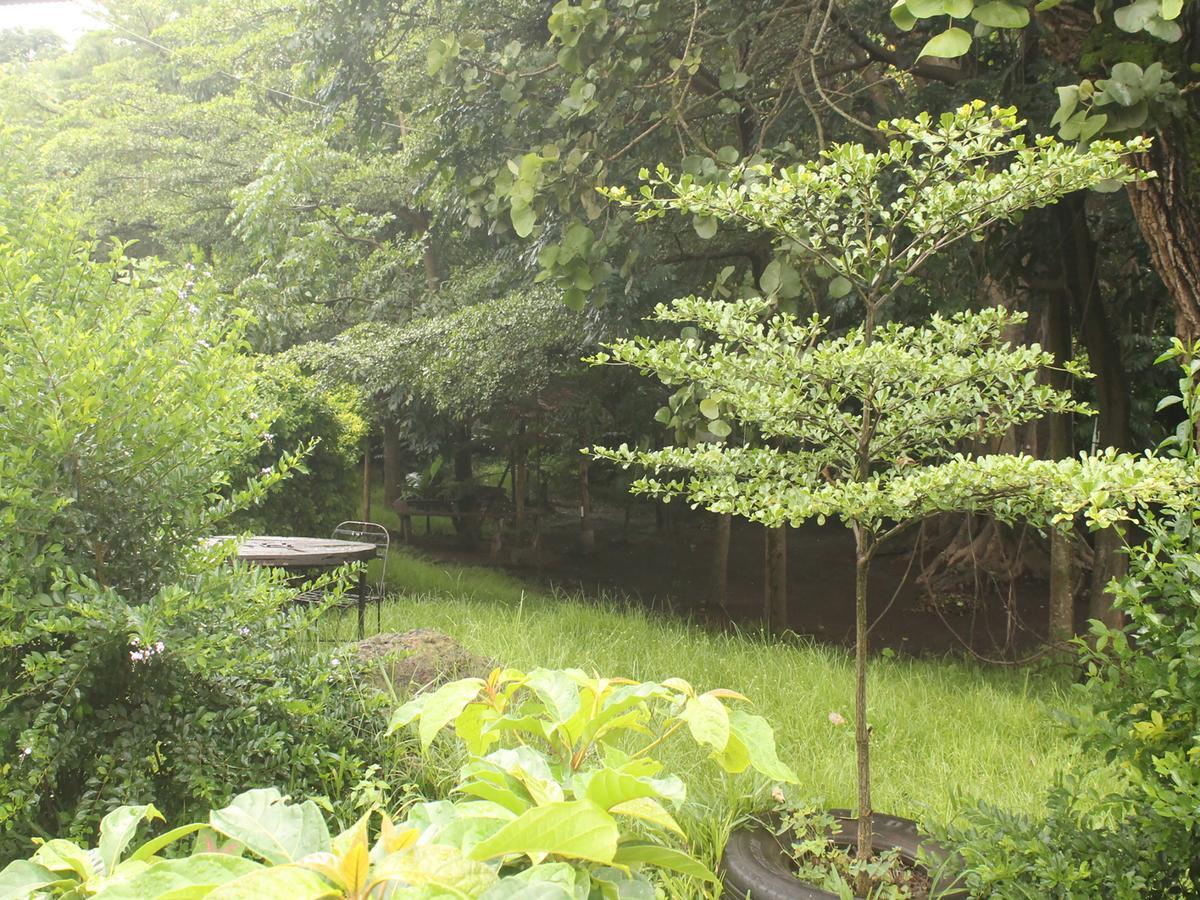 Shamba Hostel Usa River エクステリア 写真